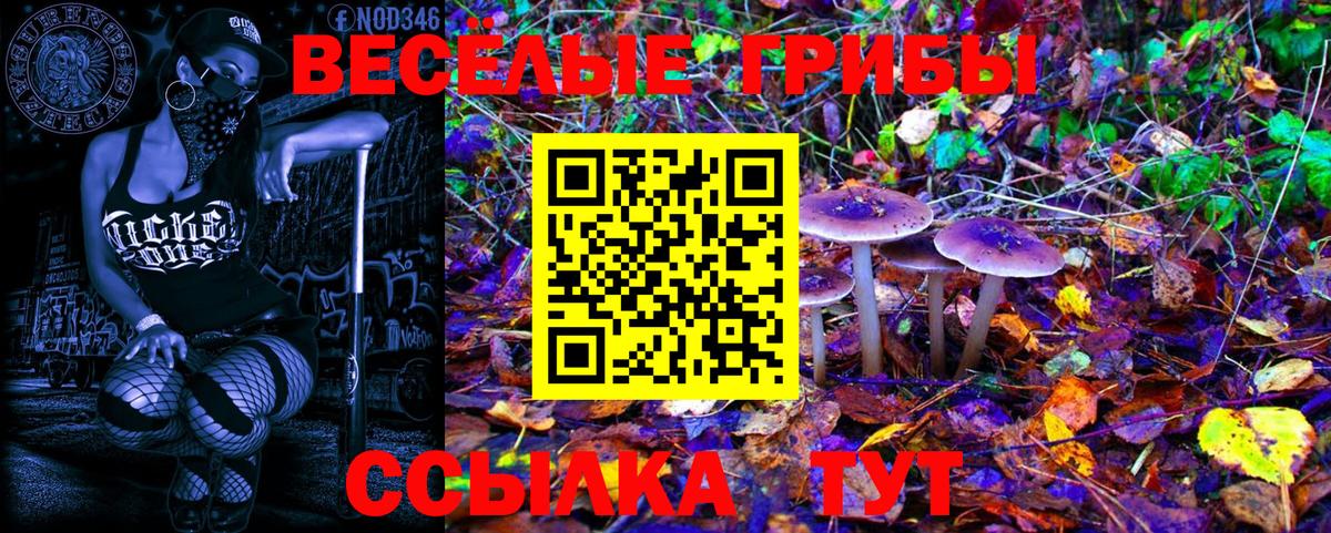 Южно-Сахалинск  Галлюциногенные грибы Psilocybine cubensis  где продают наркотики  Галлюциногенные грибы Psilocybine cubensis  Вход с VPN 